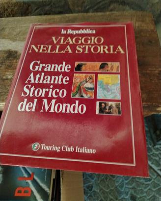 libro viaggio nella  storia 