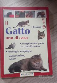  libri sui Gatii