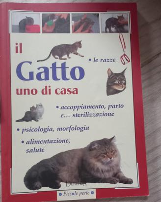  libri sui Gatii