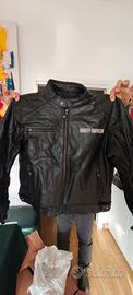 Giubbotto in pelle Harley Davidson 