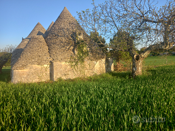 Vendita TRULLI 8 coni con terreno