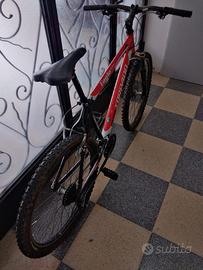 BICI MTB