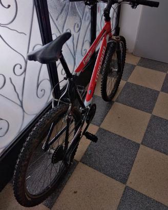BICI MTB