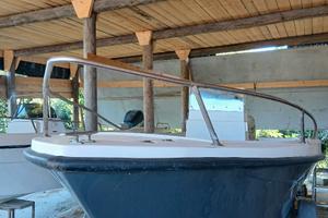 LONGO 520 CON SUZUKI 40 HP