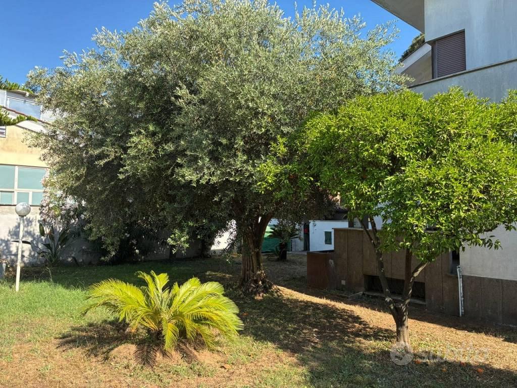 House in Anzio, Melorosso - Vista 5