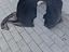Immagine 3