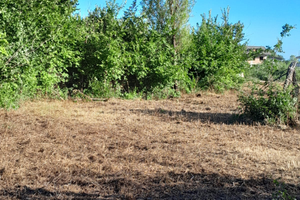 Terreno agricolo 5000 mq zona parchi Minturno