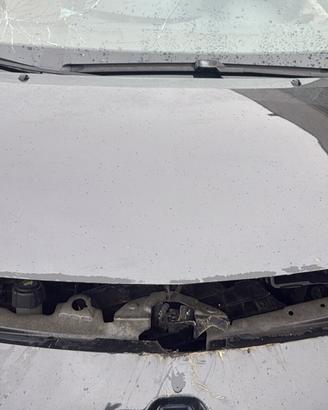 Cofano RENAULT NEW TWINGO 2009 3 porte 1.2B motore