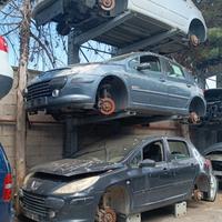 ricambi usati Peugeot 307
