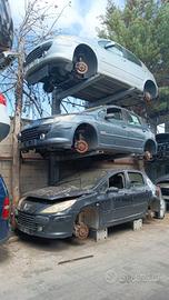 ricambi usati Peugeot 307