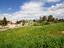 Immagine 22