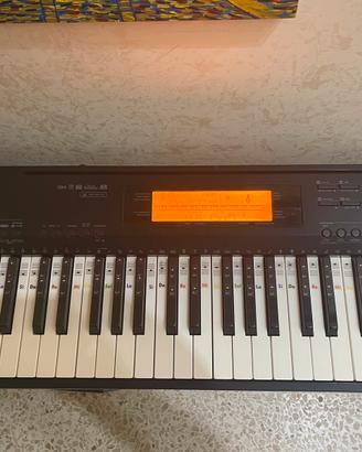 Tastiera musucale Casio. CDP 220 R