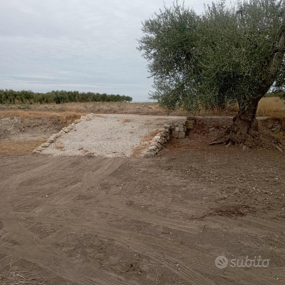 Terreno agricolo con uliveto da privato - Vista 2