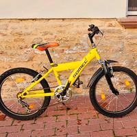 Bicicletta bambino 20 pollici