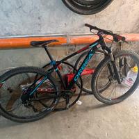 Orbea alma