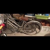 bicicletta da donna 