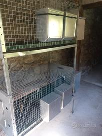 Gabbia doppia conigli 