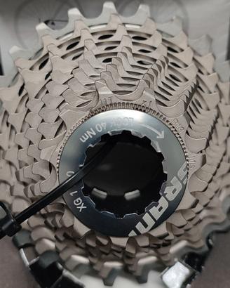 Pignoni SRAM Red 22 11-25