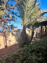 Appartamento in mansarda citta' giardino