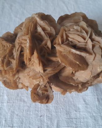 Bell'esemplare di ROSA del DESERTO