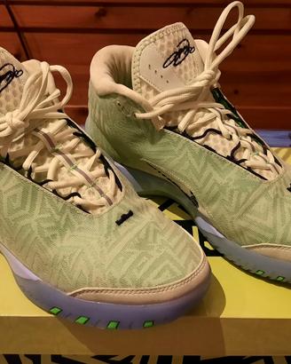 NIKE NXXT Lebron Genisus Tg.45