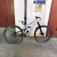 Specialized enduro comp