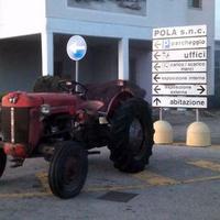 Trattore agricolo mf30