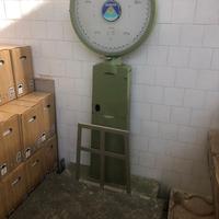 BILANCIA A OROLOGIO ZENITH