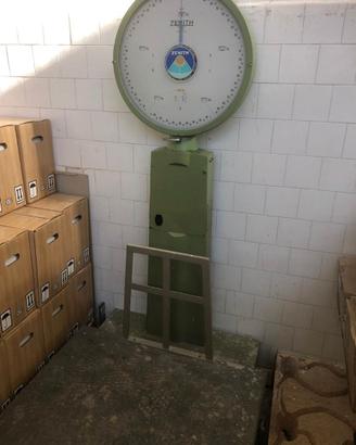 BILANCIA A OROLOGIO ZENITH