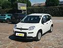 fiat-panda-1-0-firefly-s-s-hybrid-5-posti-pack