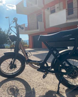 NON TRATTABILE  Ebike Argento Madmax 2 Posti