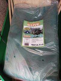 Telo olive 8x8 