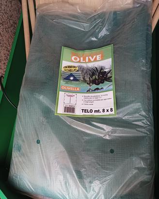Telo olive 8x8 