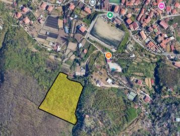 Proprietà boschiva (soprassuolo arboreo incluso)