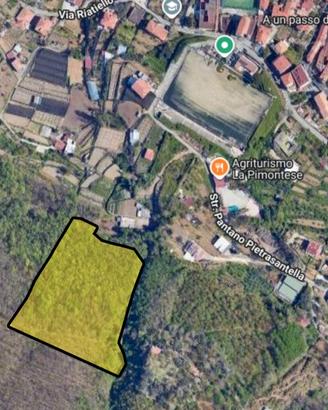 Proprietà boschiva (soprassuolo arboreo incluso)