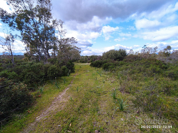 Terreno agricolo di 12000 mq con allaccio irriguo