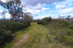 Terreno agricolo di 12000 mq con allaccio irriguo