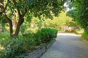 Monolocale con terrazzo nel cuore di Caserta