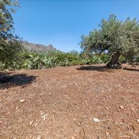 Terreno edificabile per bifamiliare