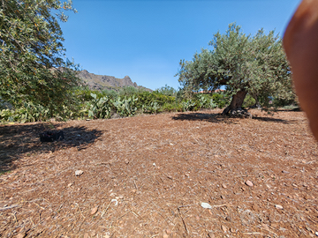 Terreno edificabile per bifamiliare