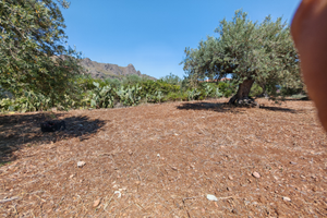 Terreno edificabile per bifamiliare