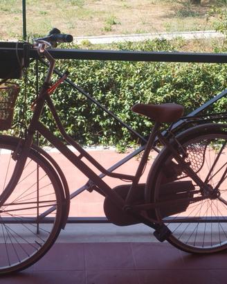 Bicicletta da città Triban 