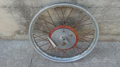 Ruota Guzzi lodola
