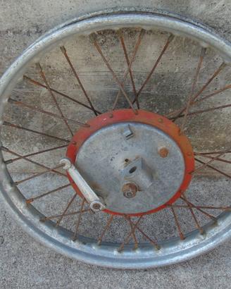 Ruota Guzzi lodola