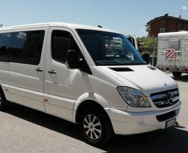 MERCEDES Sprinter 313 CDI 9 posti