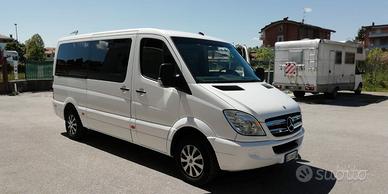 MERCEDES Sprinter 313 CDI 9 posti