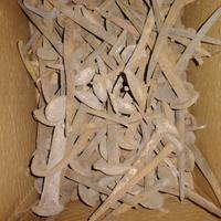 vecchi chiodi portoni