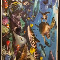 Puzzle acquario
