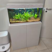 acquario con mobile