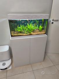 acquario con mobile